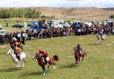 توبیخ برگزارکنندگان جشنواره اسب در آمل