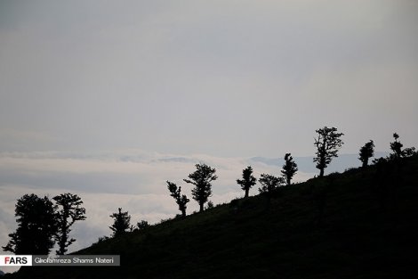 طبیعت  زیبای کوهستان چالوس