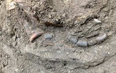 کشف اسکلت کودک دوران پارینه سنگی در هوتو بهشهر
