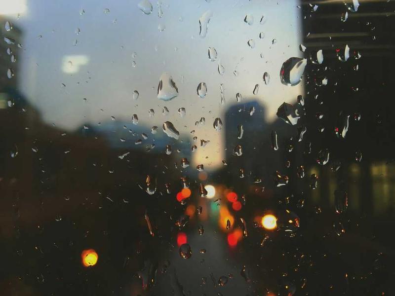 ترجمه جدید شاهنامه به انگلیسی