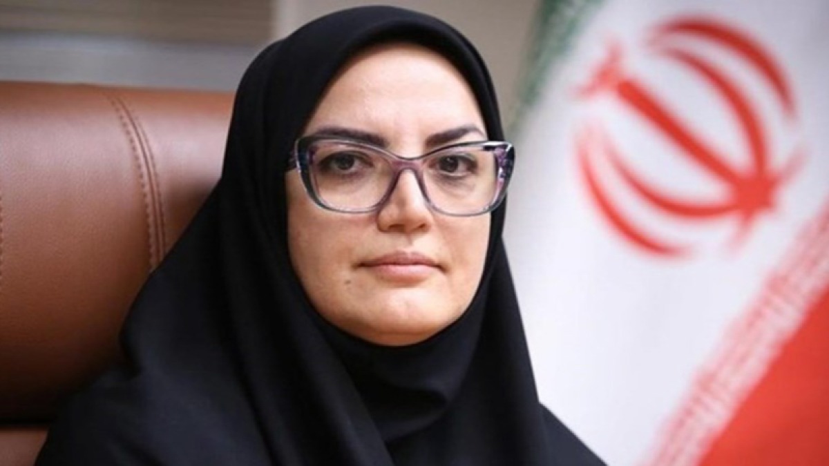 آسیب به ۵۵ کتابخانه عمومی در ۱۲ استان؛ تخریب کامل دو کتابخانه در زنجان و ایلام